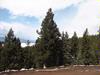 Lot 6 Alta Road
